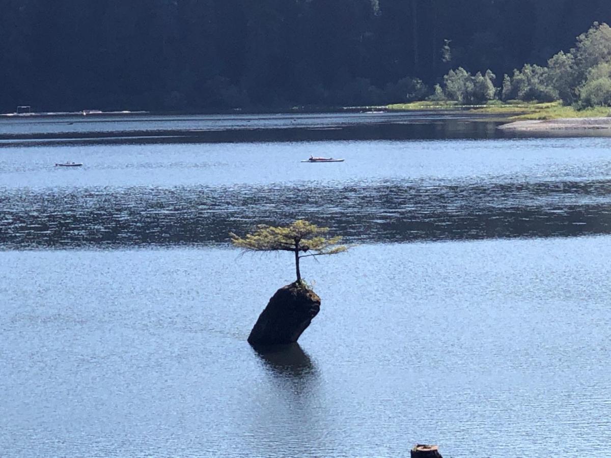 Port Renfrew Vacation Rentals Екстериор снимка