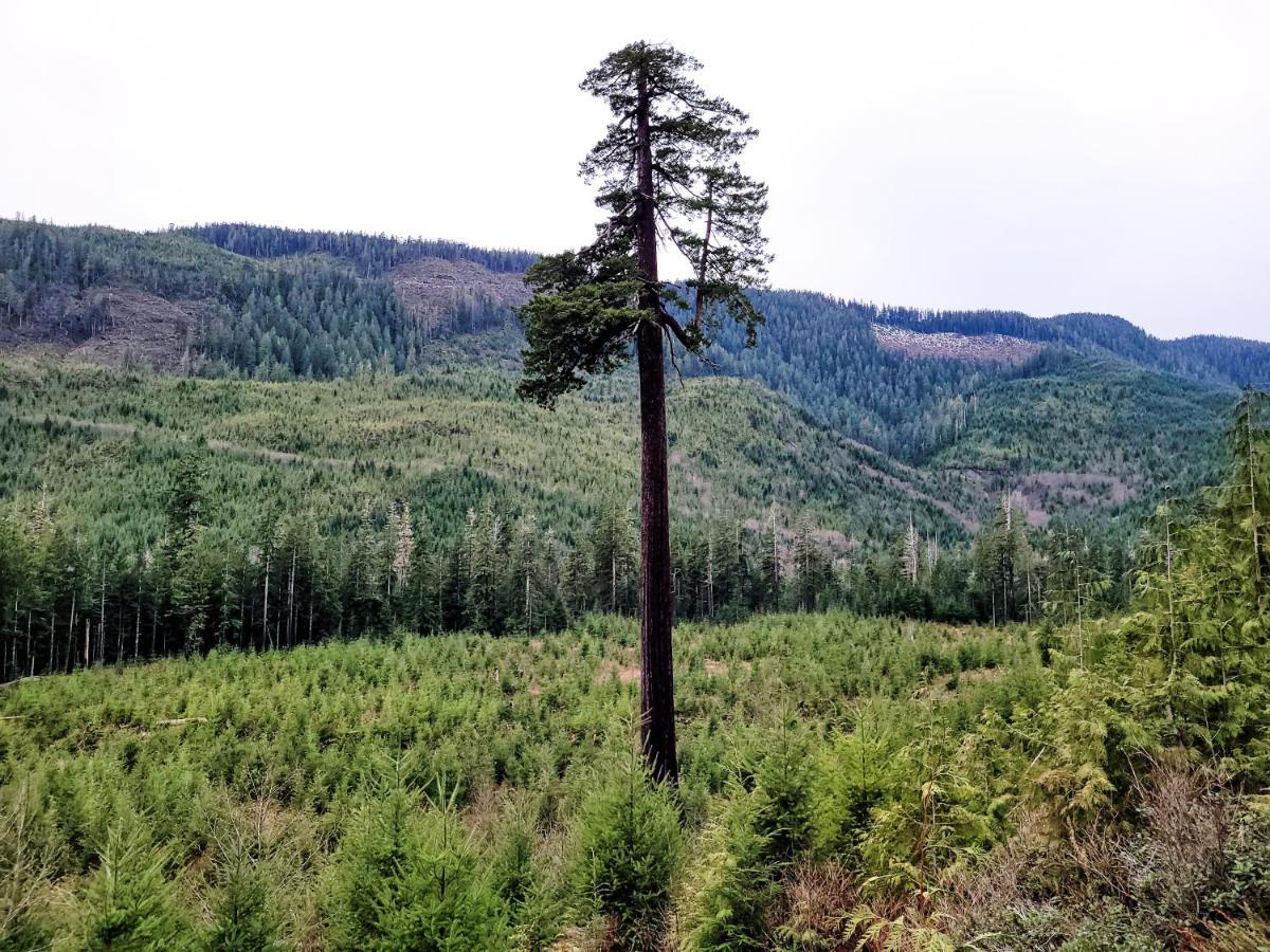 Port Renfrew Vacation Rentals Екстериор снимка